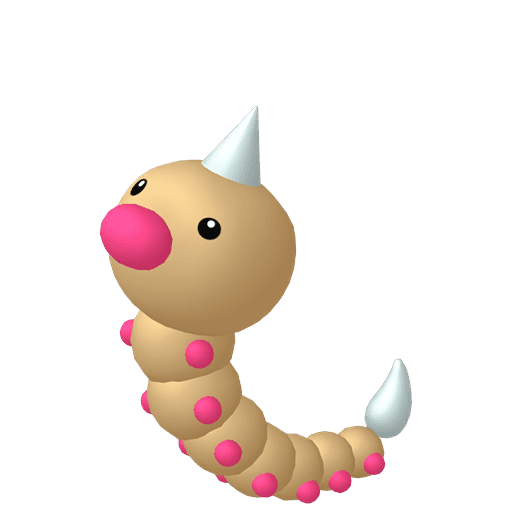 weedle picture