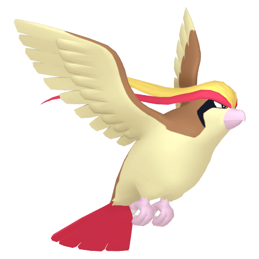pidgeot picture