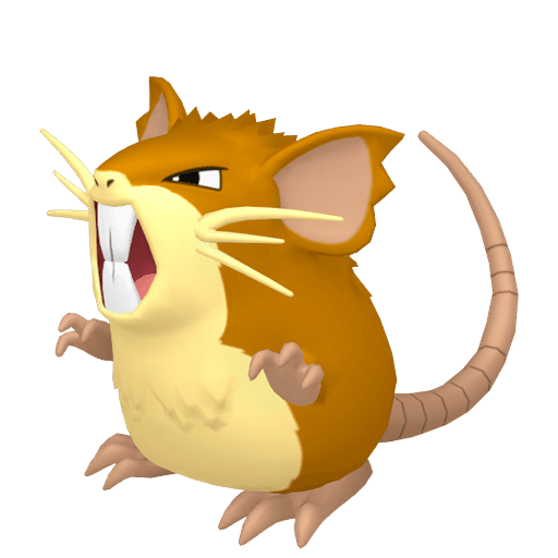 raticate picture