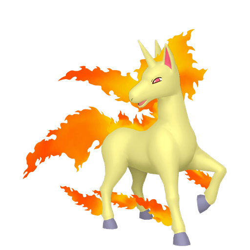 rapidash picture
