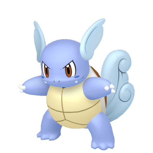 wartortle picture